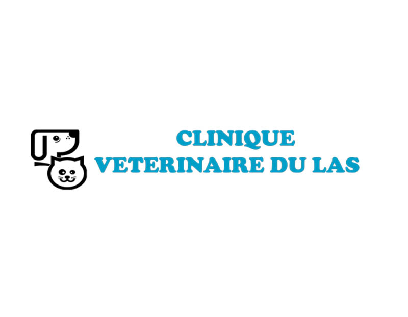 acupuncture vétérinaire pour chien sur Toulon
